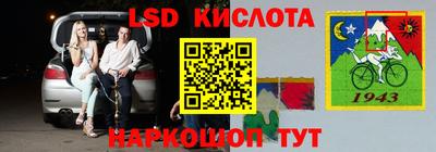 прущие грибы Будённовск