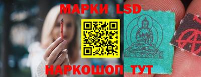 прущие грибы Будённовск