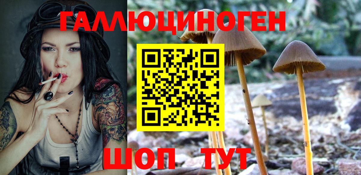 Псилоцибиновые грибы GOLDEN TEACHER  Вход с VPN  Усолье-Сибирское 
